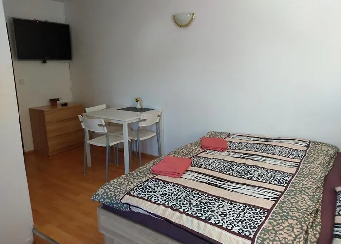 Hotel U Cara Budweis