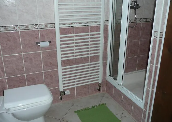 U Cara 체스케부데요비체